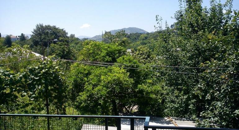 Bagrationi's House - Photo3