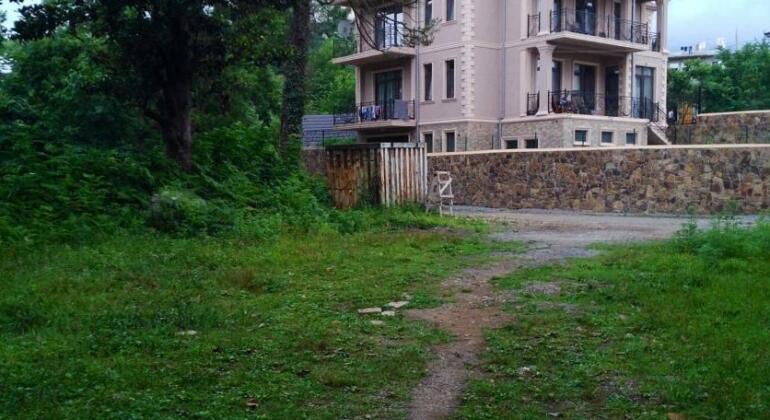 Castle - Photo3