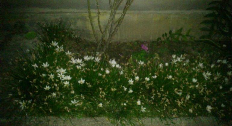 Country House Leila - Photo3