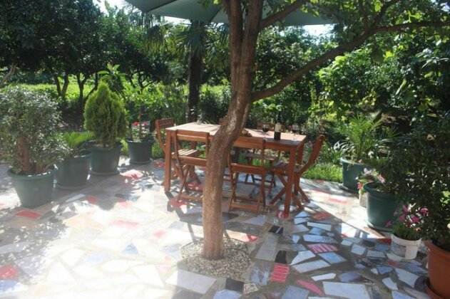 Greenview Guesthouse Batumi - Photo4