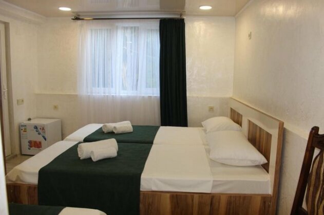 Greenview Guesthouse Batumi - Photo5
