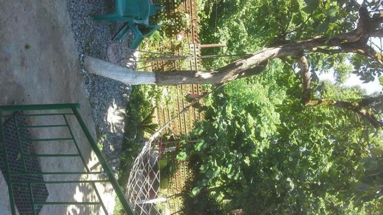 Home stay NinoLado - Photo3