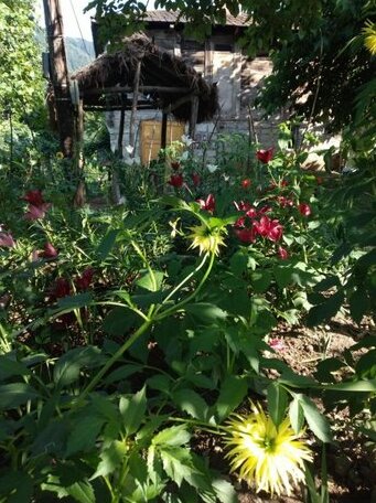 Io Rumi Hostel and Camping - Photo5