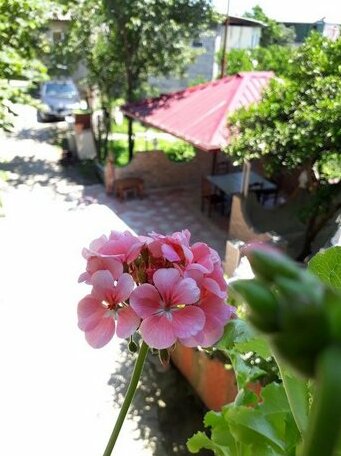 Konstantin House - Photo4