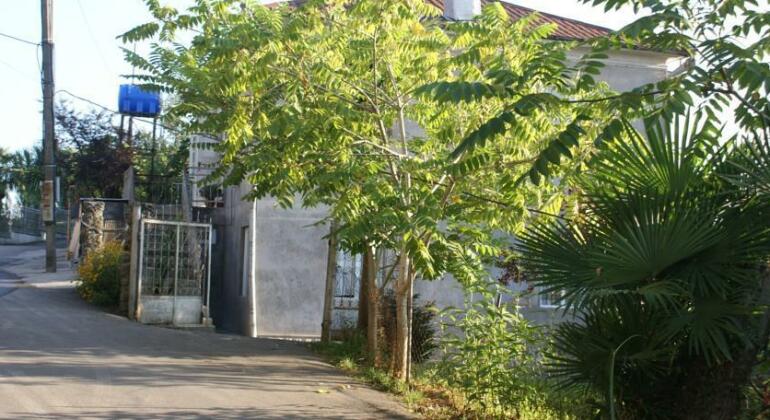 Merabi and Neli Guest House - Photo2