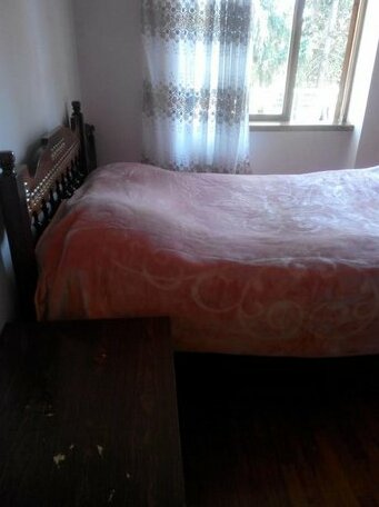 Tengizi's Flat - Photo2