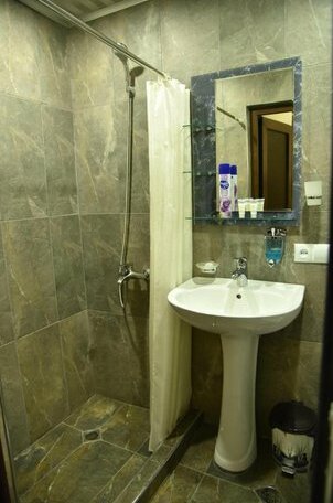 Art Hotel Borjomi - Photo4