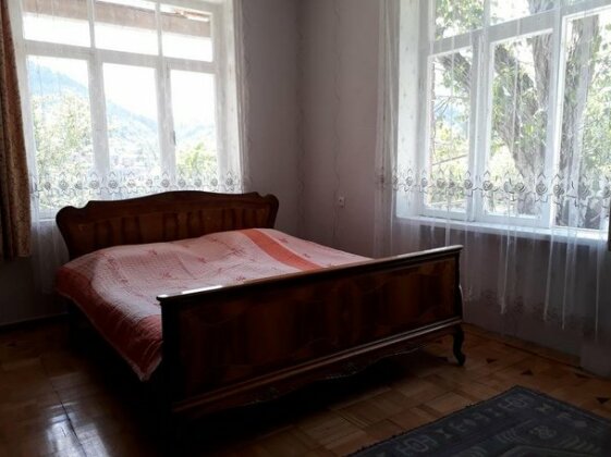 Check In Borjomi - Photo3
