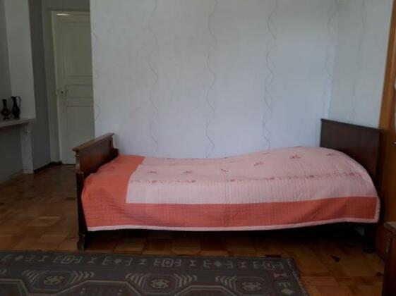 Check In Borjomi - Photo4
