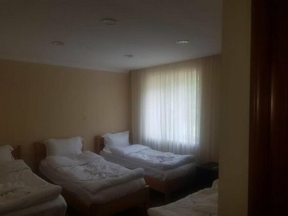Hotel Iveria Borjomi - Photo2