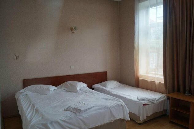 Hotel Prestige Borjomi - Photo3