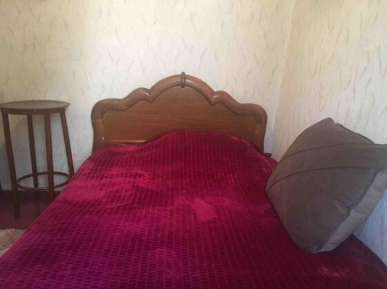 Lika Guest House Borjomi - Photo4