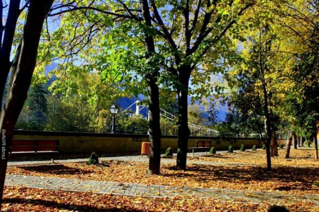 Our house Borjomi - Photo4