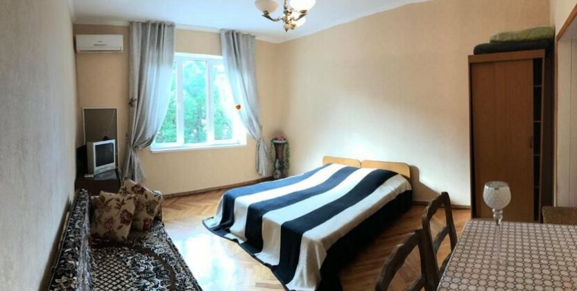 Apartment on Ardzinba 235 - Photo2