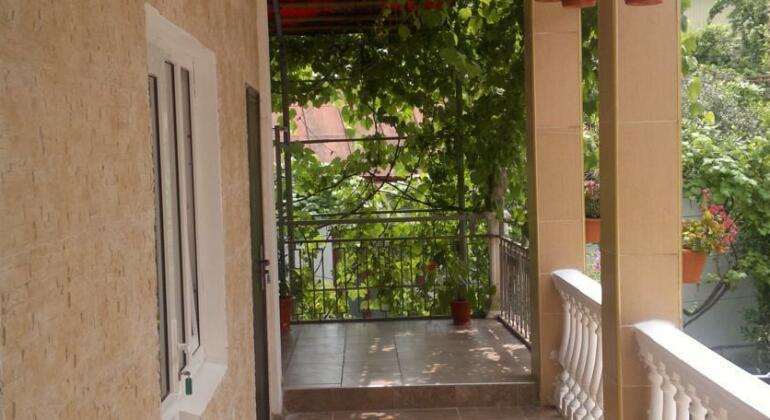 Green Guest house Gagra - Photo4