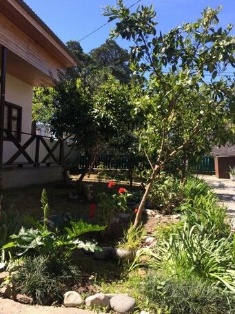 Photo 4