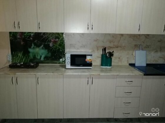 Orhidea guest house - Photo4