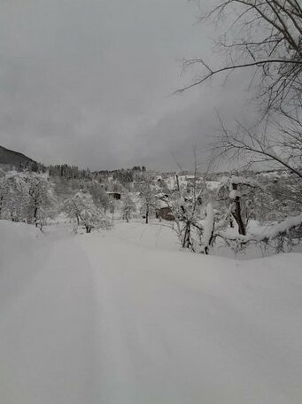 Guesthouse Arqi - Photo3