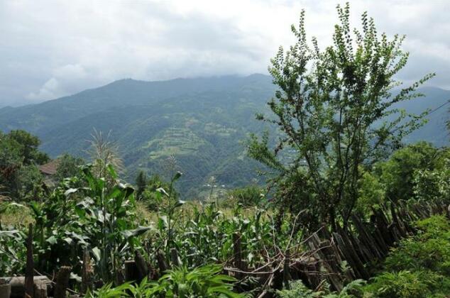 Zebo Guest house - Photo5