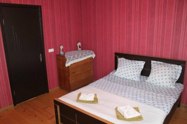Beautiful Georgia Guesthouse - Photo4
