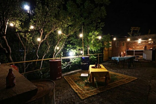 Dingo Backpackers Hostel - Photo2