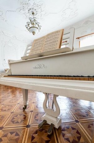 Grand Piano - Photo2
