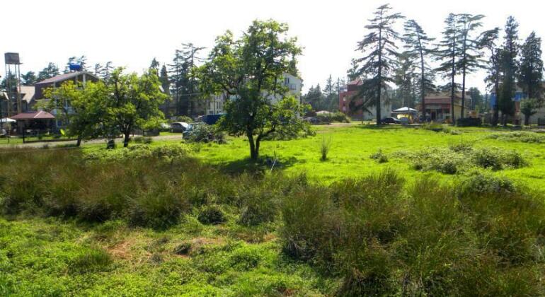 Live Inn Ureki - Photo5