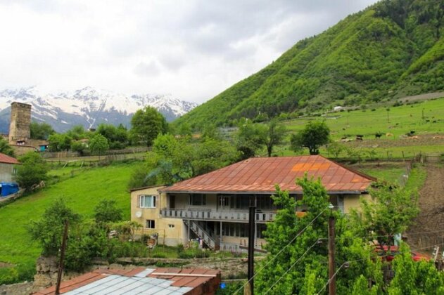 Cool Mestia - Photo5