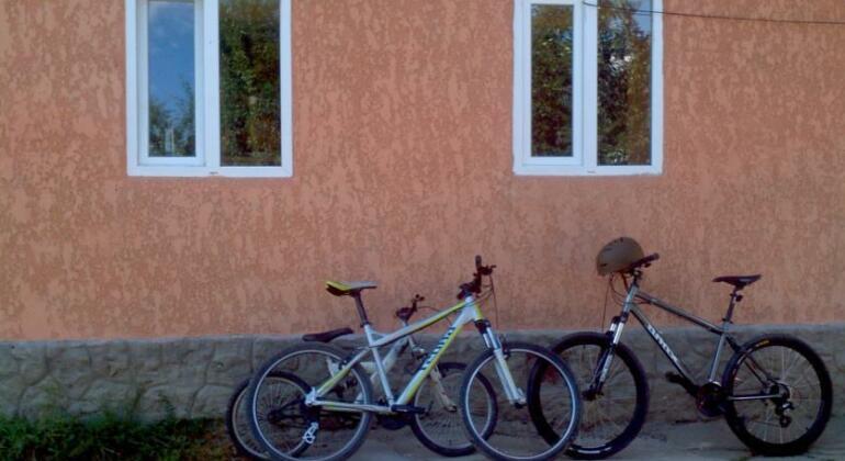 Fero - Photo2