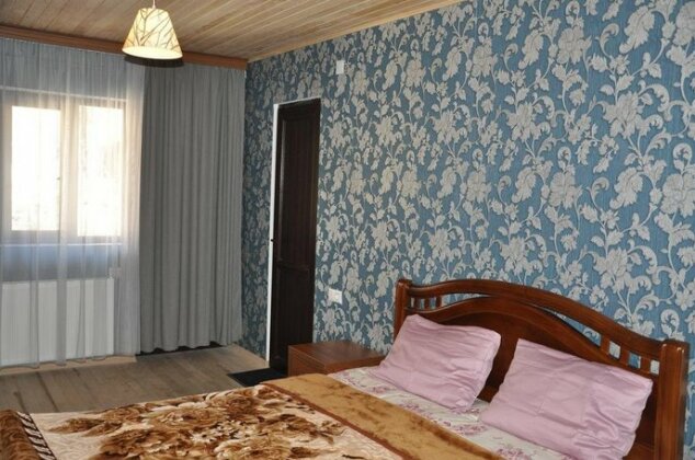 Guesthouse David Zhorzholiani - Photo3