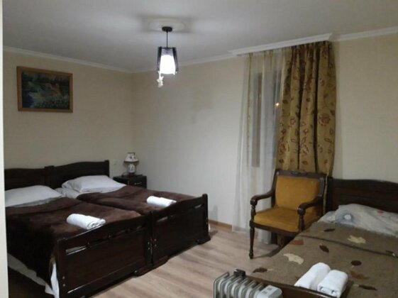 Guesthouse Venera Mestia - Photo2