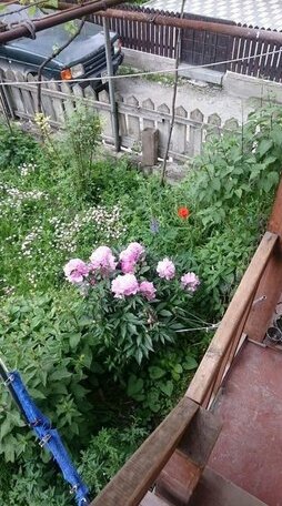 N&N Guest House - Photo5