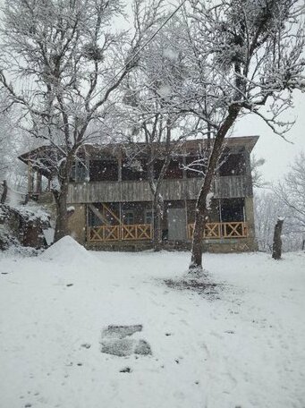 Guest House Fudzekari - Photo3