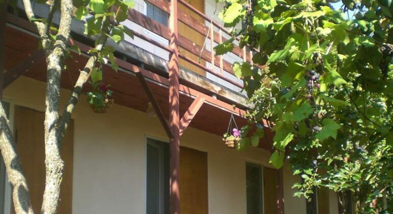Guest House Kamelia - Photo2