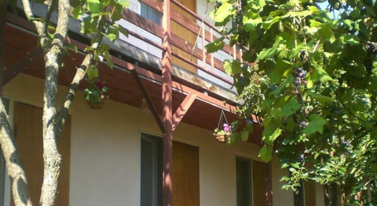 Guest House Kamelia - Photo2