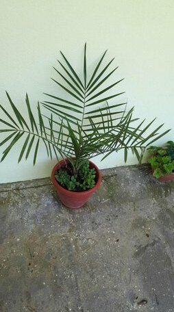 Zolotaya buhta 12 - Photo5