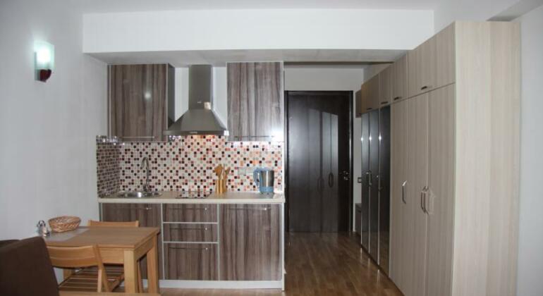 Apartment Studio Stepantsminda - Photo2