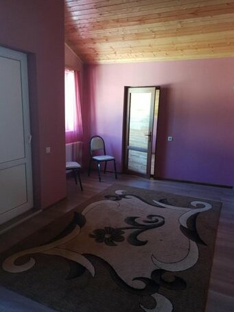 Gudauri TLT - Photo2