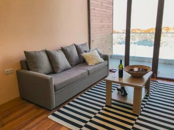 Gudauri Travel Apartments - Photo5