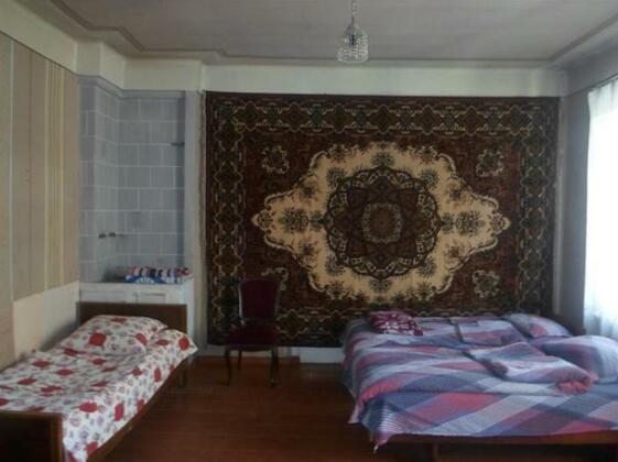 Nana's Guest House Stepantsminda - Photo3