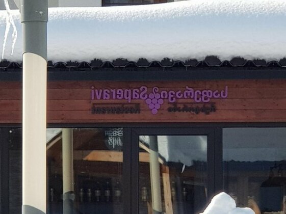 Studio in Kazbegi District - Photo2