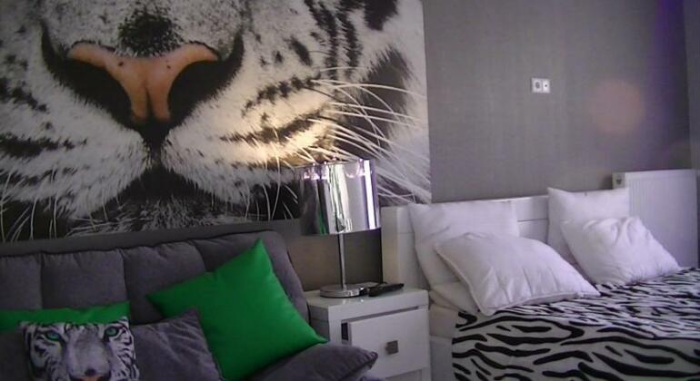 White Tiger in New Gudauri II - Photo3