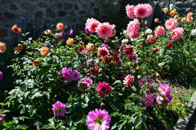 Zaza's House - Photo5