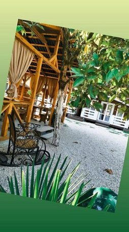 Parusa Guesthouse - Photo3