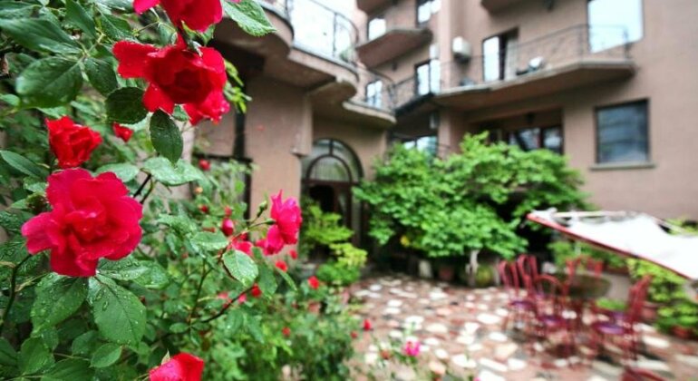 Hotel Sympatia - Photo3