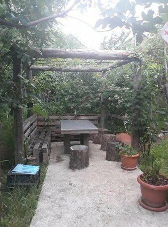 Megi's Sweet Home - Photo3