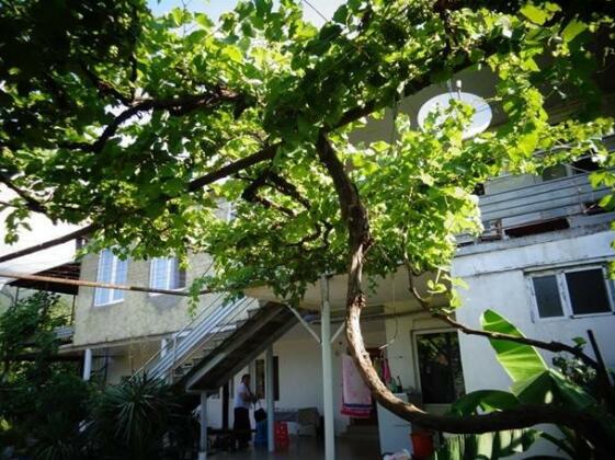 Nikala Guest House - Photo2