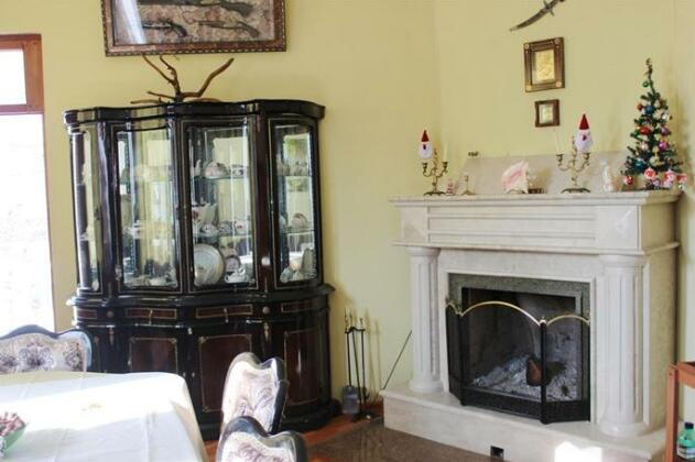 Nika's Guest House Telavi - Photo3
