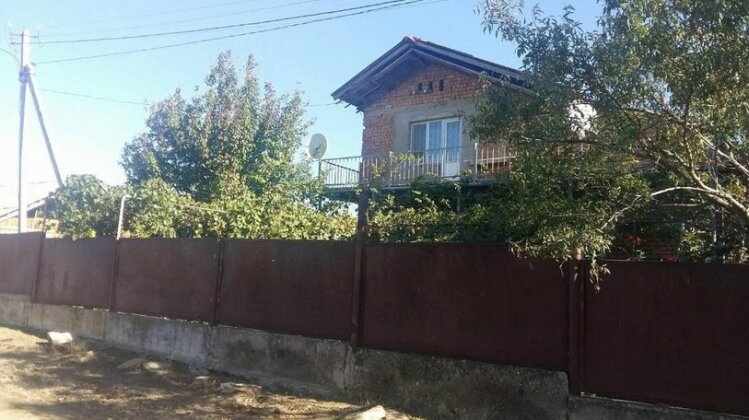 Savane Telavi - Photo3