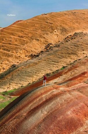Savane Telavi - Photo5